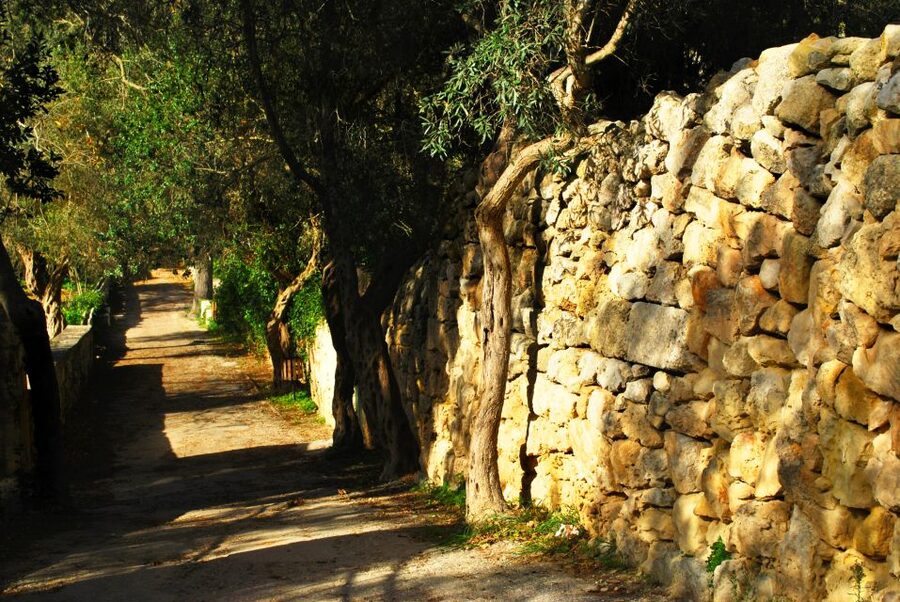 Vintage Bus: Mdina, Clapham Junction, Buskett, Dingli Cliffs - A vintage bus ride through Malta’s scenic west