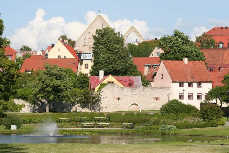 Visby: Hop-On Hop-Off 1 day Bus Tour - Who should book this Visby bus tour?