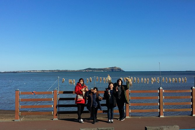 West of Jeju island Bus Tour from Seogwipo city, Jeju island - What the $99 price covers