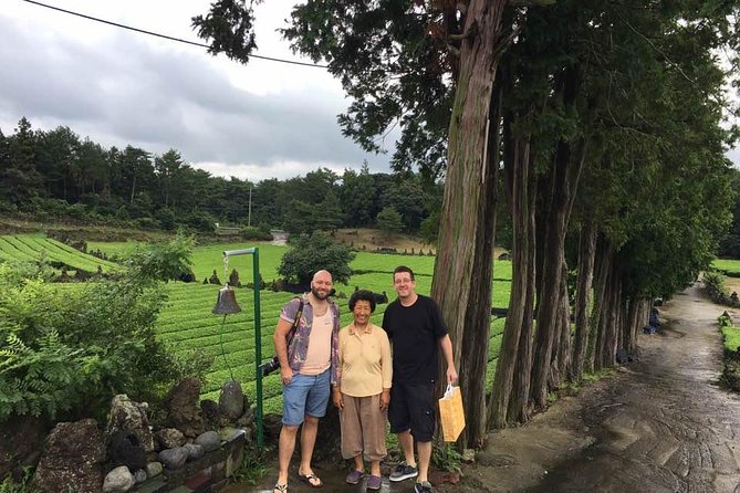 West of Jeju island Bus Tour from Seogwipo city, Jeju island - O’sulloc Tea Museum: Jeju’s green opening scene