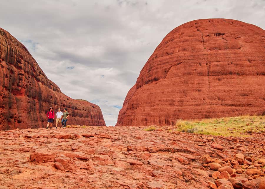 Yulara: Uluru Sunrise and Kata Tjuta Day Trip by Bus - Who should book this morning?