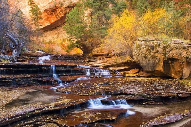 Zion & Bryce Canyon National Parks 1-Day Bus Tour - Who should book this trip