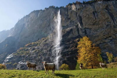 Day Trip to Grindelwald, Interlaken & Lauterbrunnen
