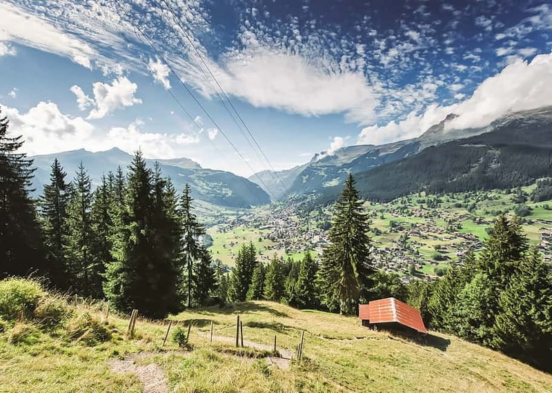 Zurich: Day Trip to Grindelwald, Interlaken & Lauterbrunnen - Who should take this trip